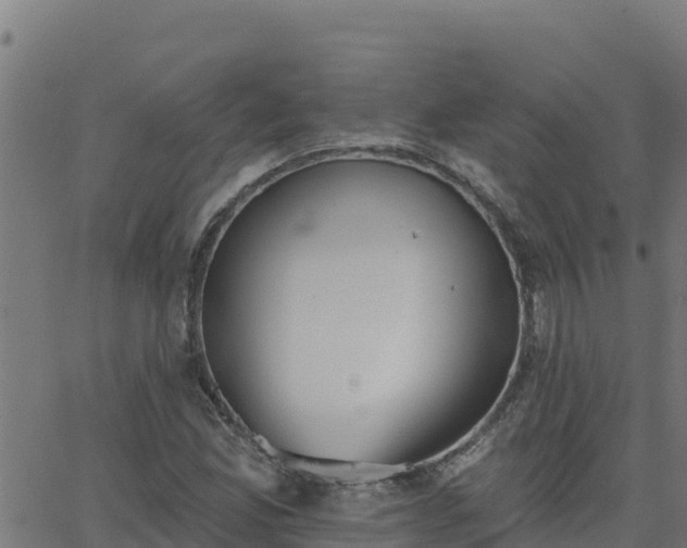 X0000062841165200601201630