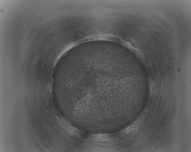 X0000062841166200601201630