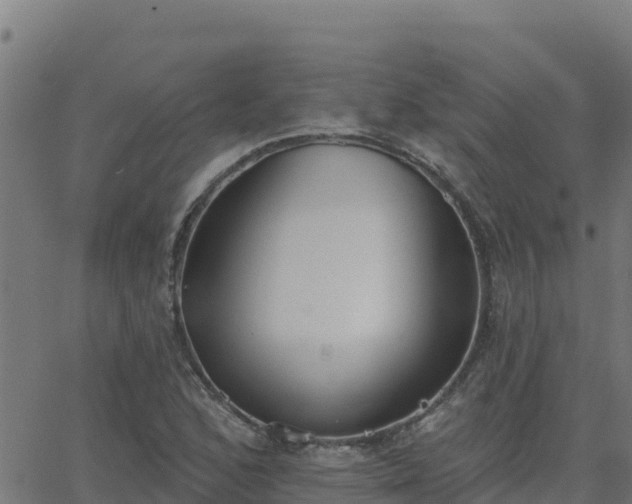 X0000062841168200601201630