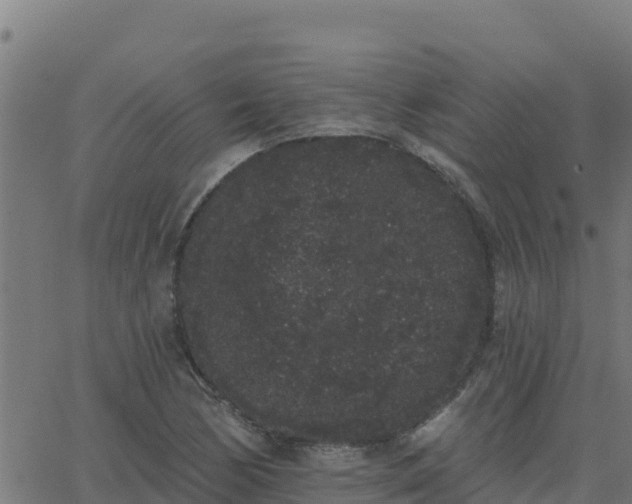 X0000062841170200601201630