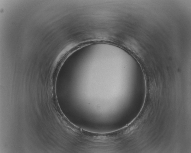 X0000062841172200601201630