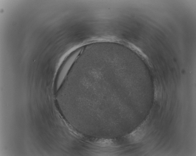 X0000062841174200601201630