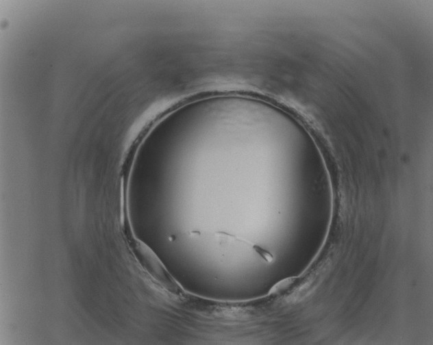 X0000062841175200601201630