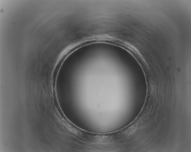 X0000062841176200601201630