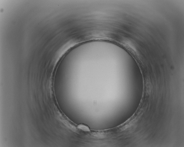 X0000062841182200601201630