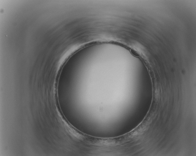 X0000062841183200601201630