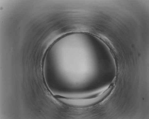 X0000062841184200601201630