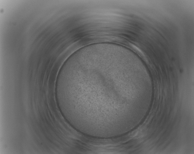 X0000062841186200601201630