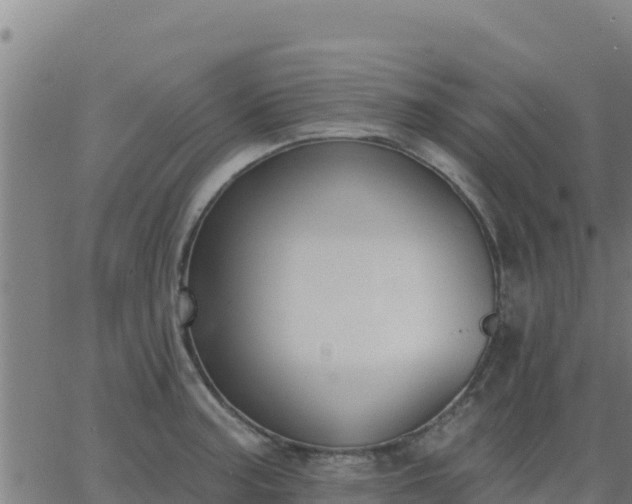 X0000062841187200601201630