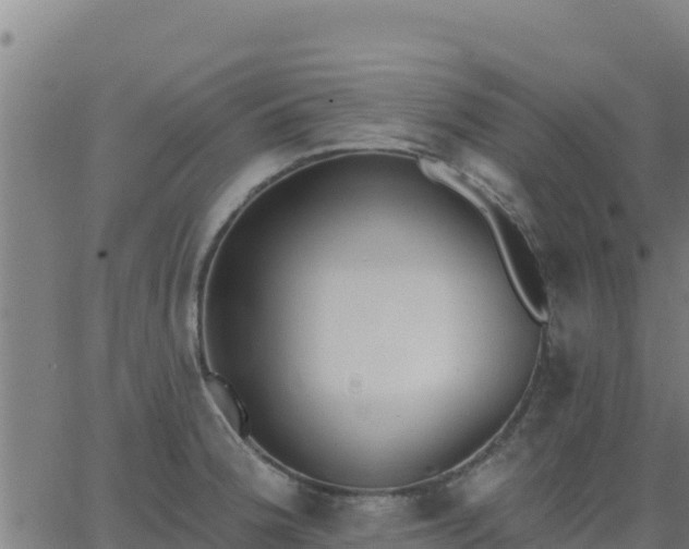 X0000062841188200601201630