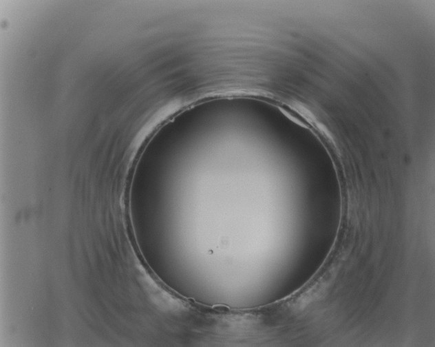 X0000062841189200601201630