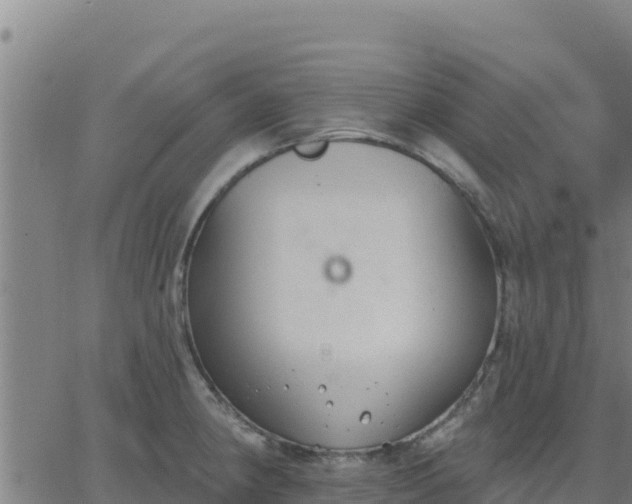 X0000062841190200601201630