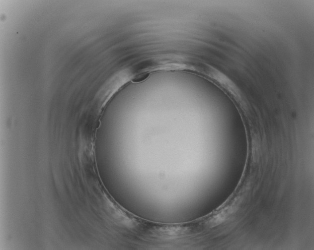 X0000062841193200601201630