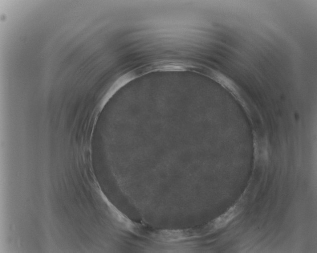 X0000062841194200601201630