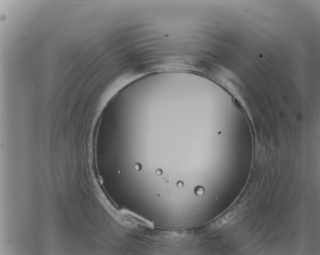 X0000062841195200601201630