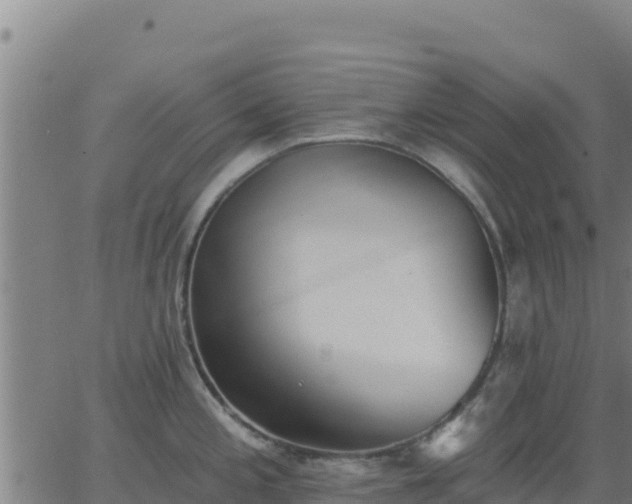 X0000062841197200601201630