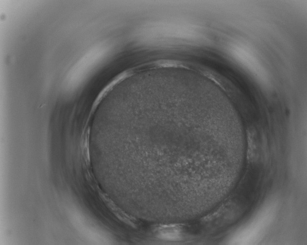 X0000062841198200601201630