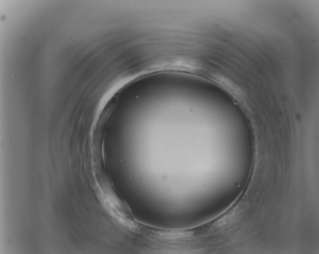 X0000062841200200601201630