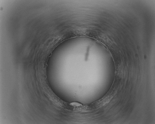 X0000062841201200601201629