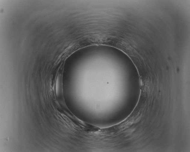 X0000062841202200601201629