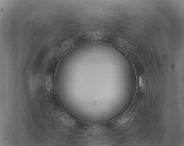 X0000062841203200601201629