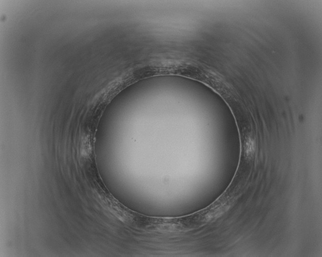 X0000062841204200601201629