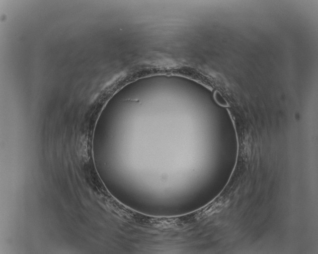 X0000062841205200601201629