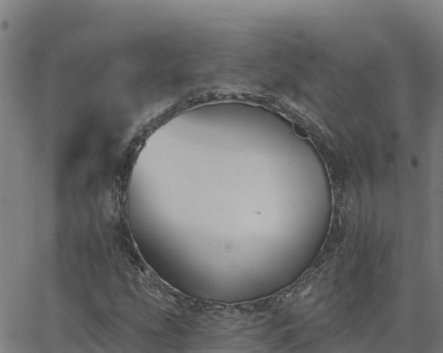 X0000062841207200601201629