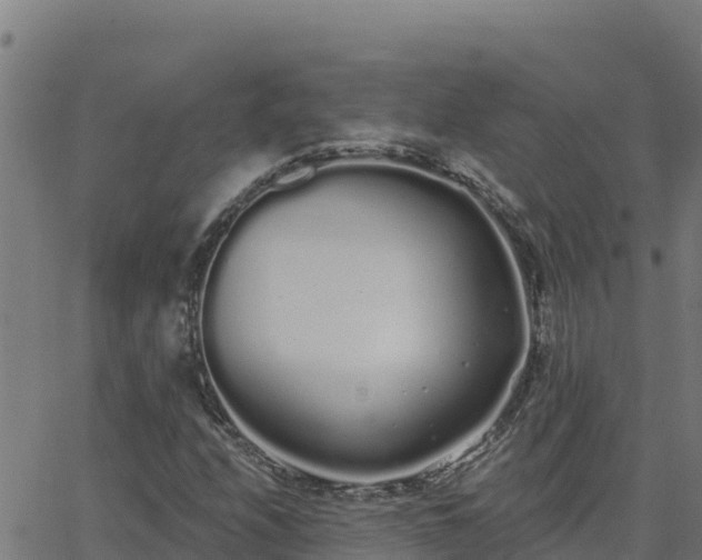 X0000062841208200601201629