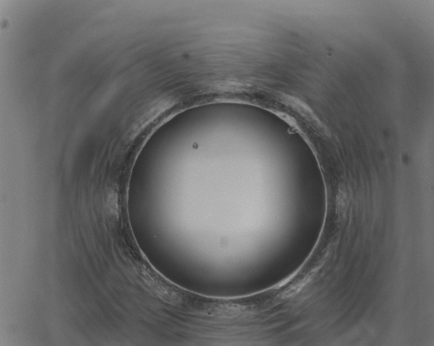 X0000062841209200601201629