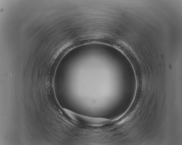 X0000062841210200601201629