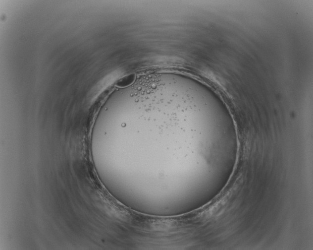 X0000062841211200601201629