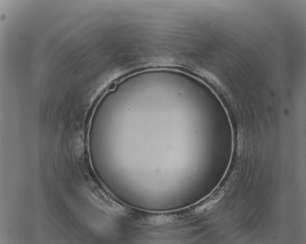 X0000062841212200601201629