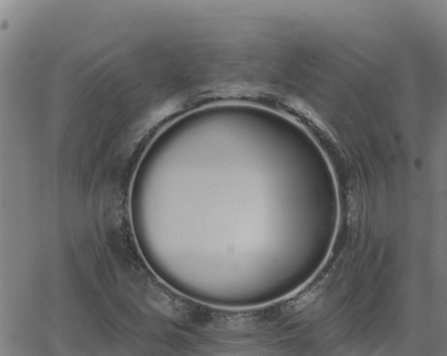 X0000062841213200601201629