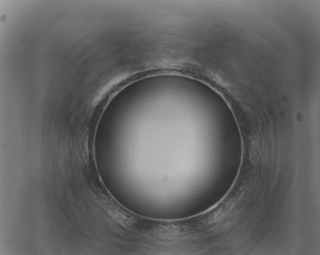 X0000062841214200601201629