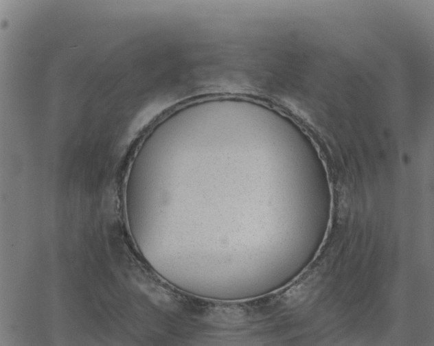 X0000062841215200601201629