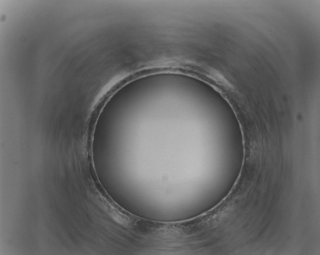 X0000062841216200601201629