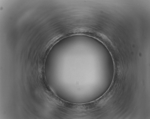 X0000062841217200601201629