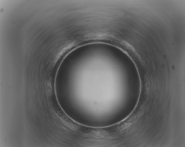 X0000062841218200601201629