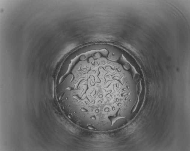 X0000062841219200601201629