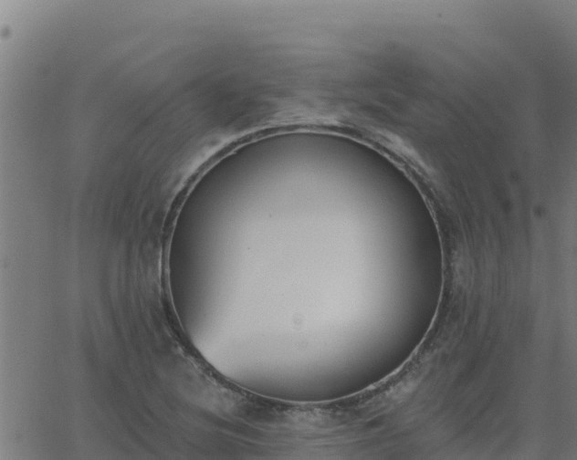 X0000062841220200601201629