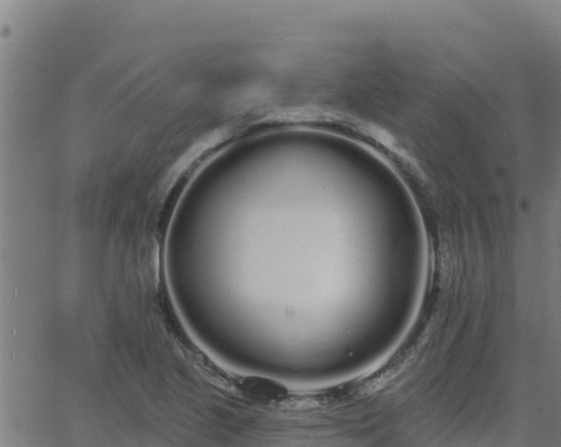 X0000062841221200601201629