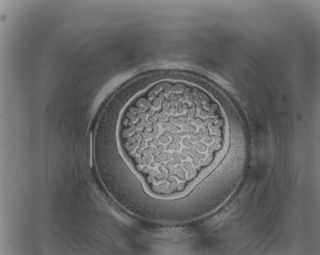 X0000062841223200601201629