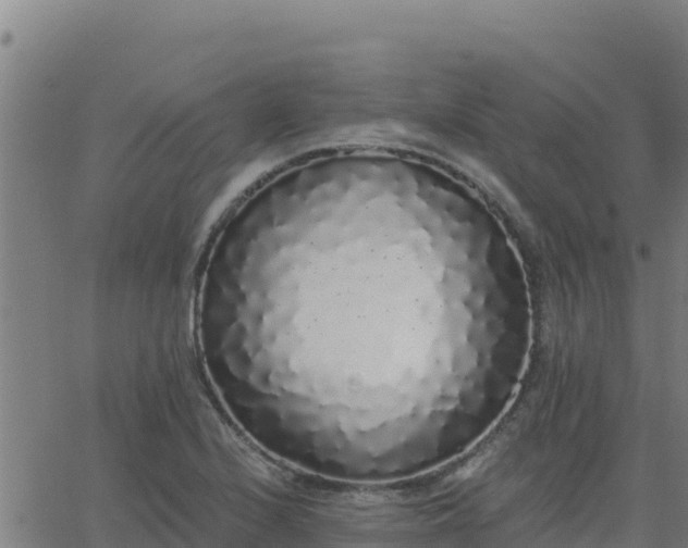 X0000062841224200601201629