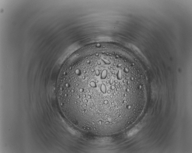 X0000062841225200601201629