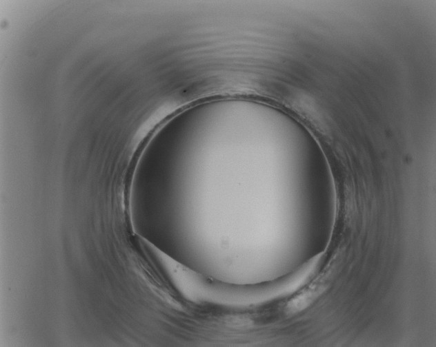 X0000062841226200601201629