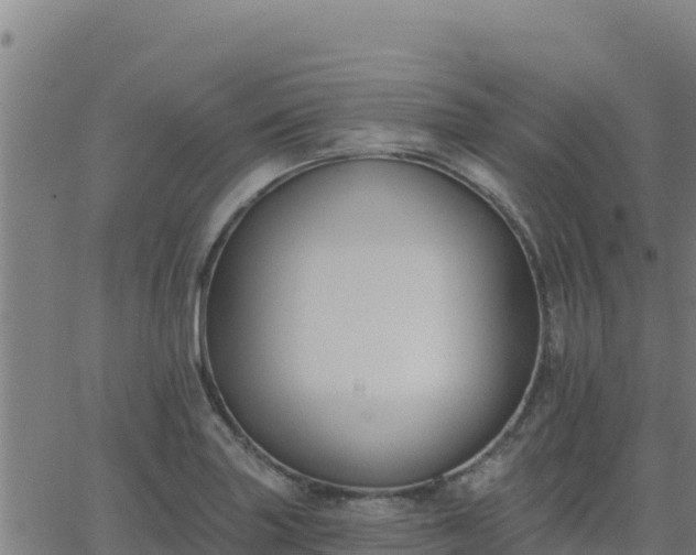 X0000062841227200601201629