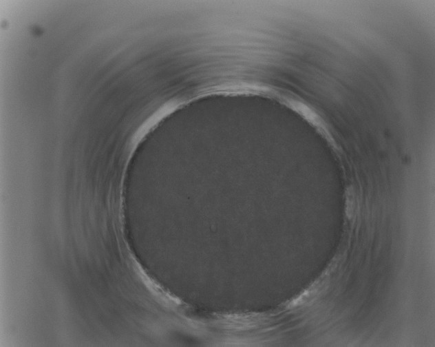 X0000062841229200601201630