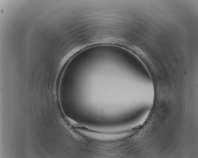 X0000062841230200601201630