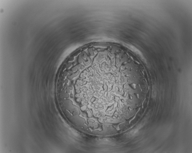 X0000062841231200601201630